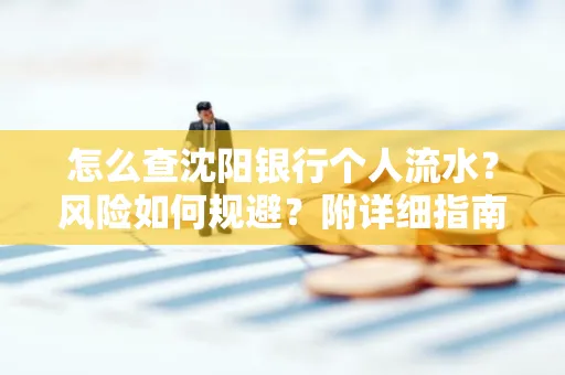 怎么查沈阳银行个人流水?风险如何规避?附详细指南