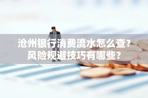 沧州银行消费流水怎么查?风险规避技巧有哪些?