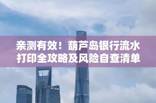 亲测有效!葫芦岛银行流水打印全攻略及风险自查清单