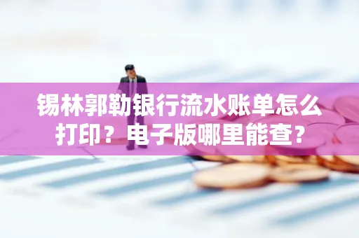 锡林郭勒银行流水账单怎么打印?电子版哪里能查?
