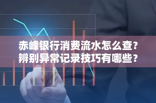 赤峰银行消费流水怎么查?辨别异常记录技巧有哪些?