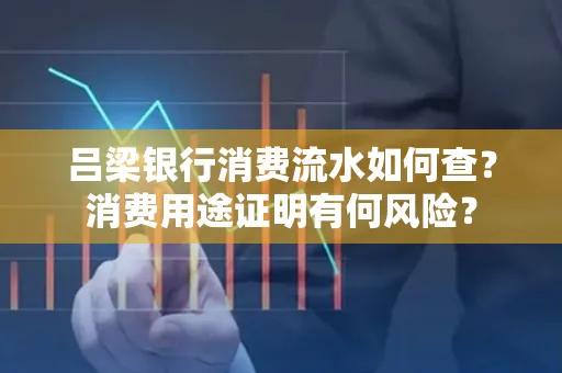 吕梁银行消费流水如何查?消费用途证明有何风险?