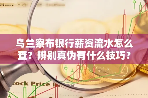 乌兰察布银行薪资流水怎么查?辨别真伪有什么技巧?