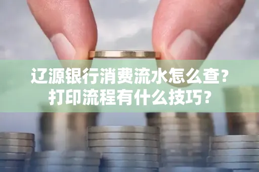 辽源银行消费流水怎么查?打印流程有什么技巧?
