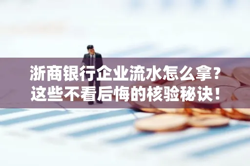 浙商银行企业流水怎么拿?这些不看后悔的核验秘诀!