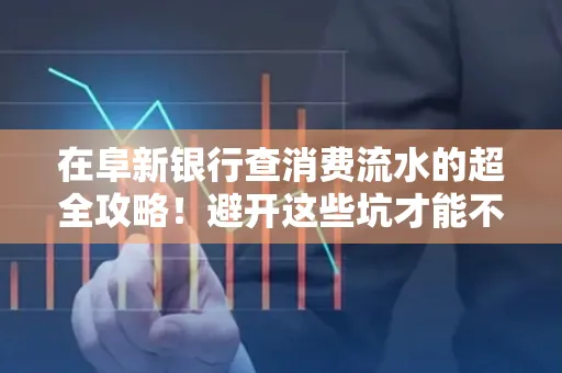 在阜新银行查消费流水的超全攻略!避开这些坑才能不踩雷
