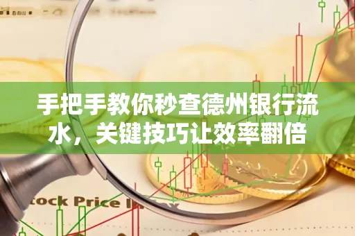 手把手教你秒查德州银行流水,关键技巧让效率翻倍