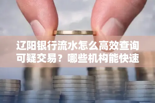 辽阳银行流水怎么高效查询可疑交易?哪些机构能快速分析账单风险?