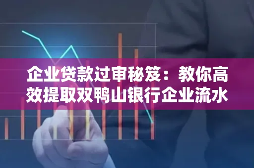 企业贷款过审秘笈:教你高效提取双鸭山银行企业流水
