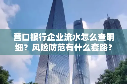 营口银行企业流水怎么查明细?风险防范有什么套路?