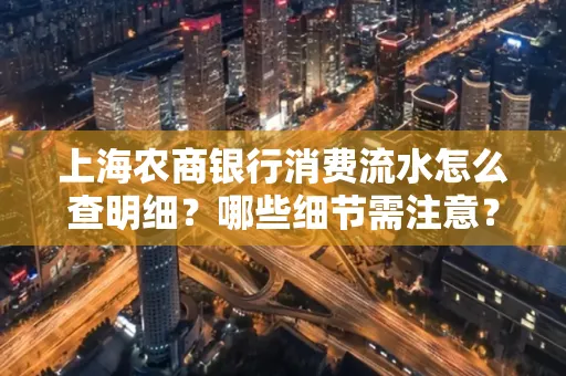 上海农商银行消费流水怎么查明细?哪些细节需注意?
