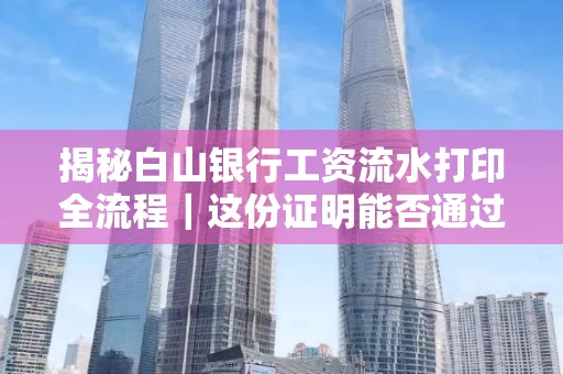 揭秘白山银行工资流水打印全流程|这份证明能否通过审核?