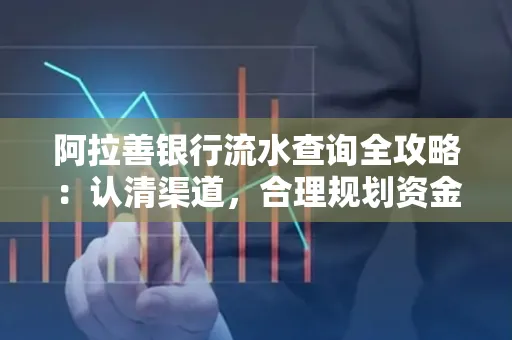 阿拉善银行流水查询全攻略:认清渠道,合理规划资金流动技巧
