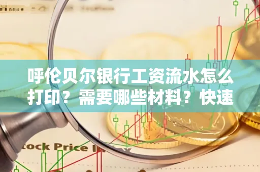 呼伦贝尔银行工资流水怎么打印？需要哪些材料？快速搞定方法揭秘！