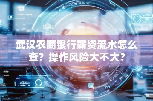 武汉农商银行薪资流水怎么查?操作风险大不大?